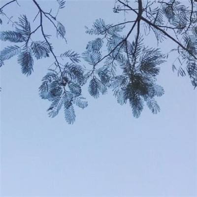 梦幻灵侠内购破解版下载